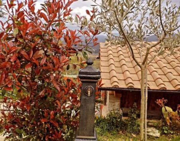 ברברינו די מוג'לו Il Podere Di Massi מראה חיצוני תמונה