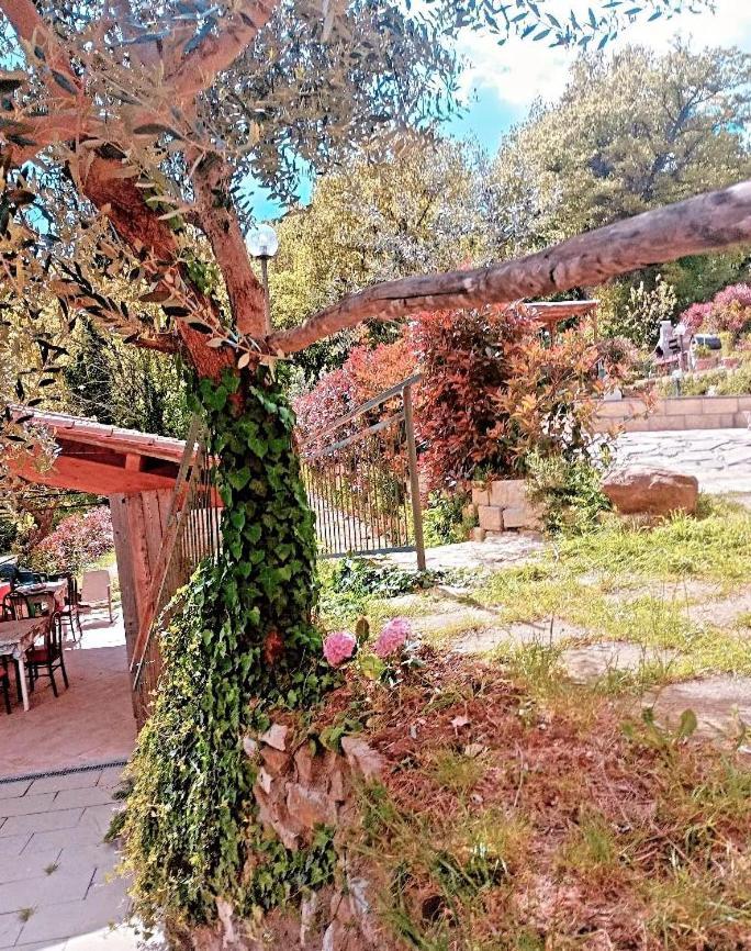 ברברינו די מוג'לו Il Podere Di Massi מראה חיצוני תמונה