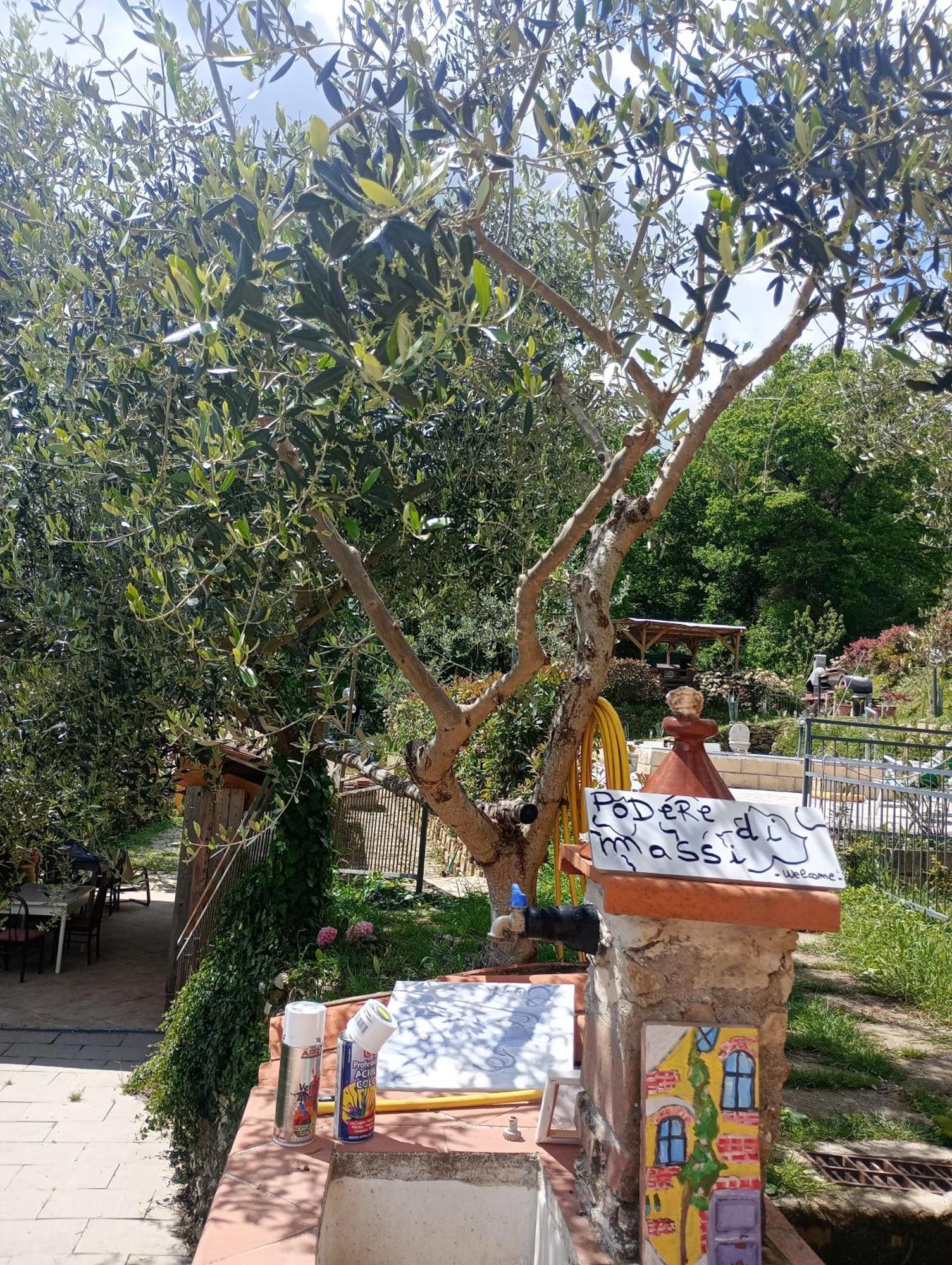 ברברינו די מוג'לו Il Podere Di Massi מראה חיצוני תמונה